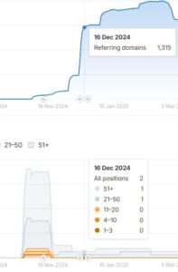 SEO 실패사례 백링크 폭증